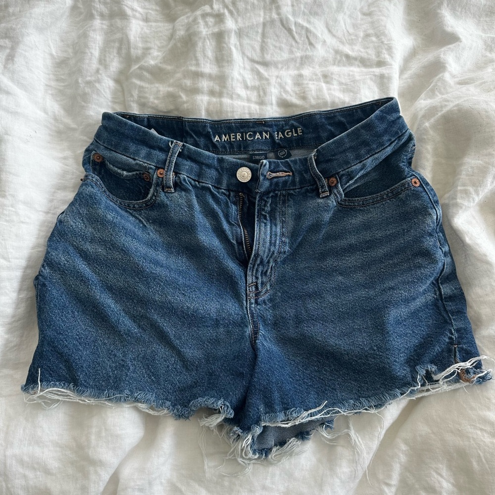 American Eagle Curvy Relaxed Short